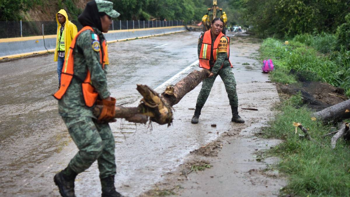 Labores de limpieza en la Autopista del Sol | Cuartoscuro