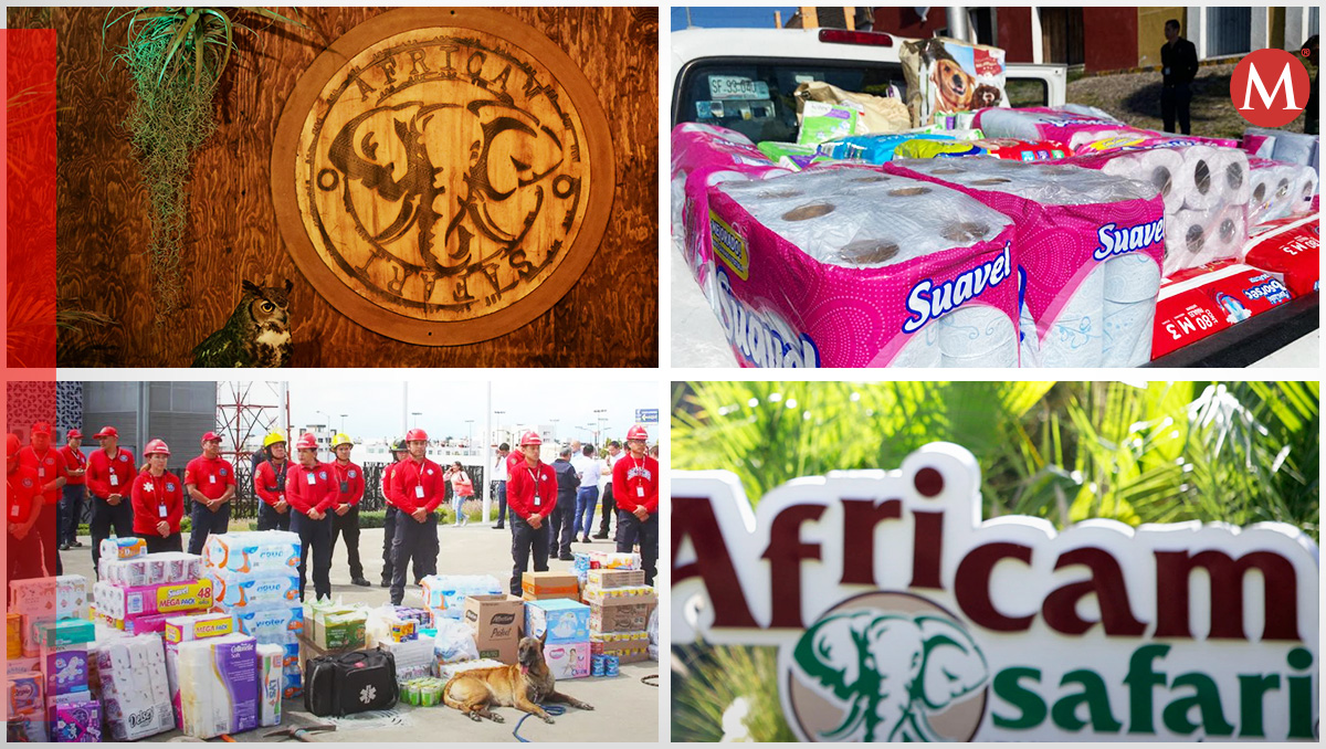 Abren Coparmex y Africam Safari centros de acopio por huracán Otis | Especial | Diseño Milenio