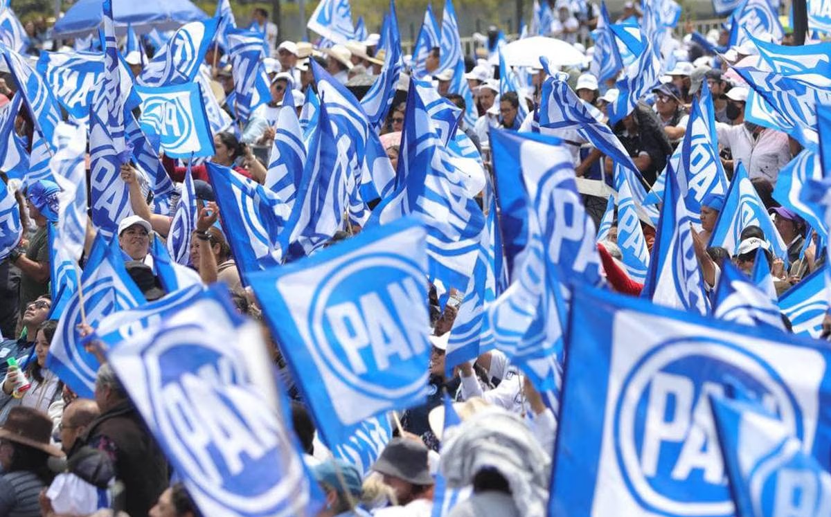 Partido Acción Nacional