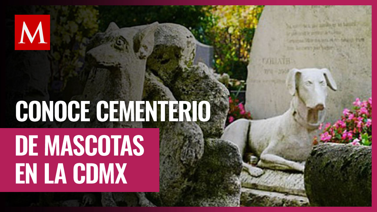 ¿Deseas despedir a tu lomito? Conoce este cementerio para mascotas en la CdMx