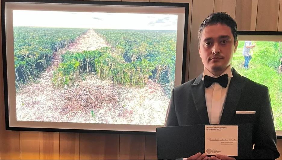 Mexicano gana concurso de fotografía con imagen de deforestación por el Tren Maya