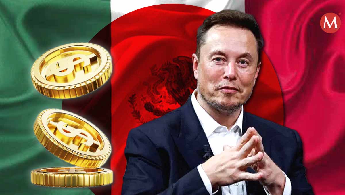 Elon Musk, presidente ejecutivo de Tesla. (Diseño Milenio)