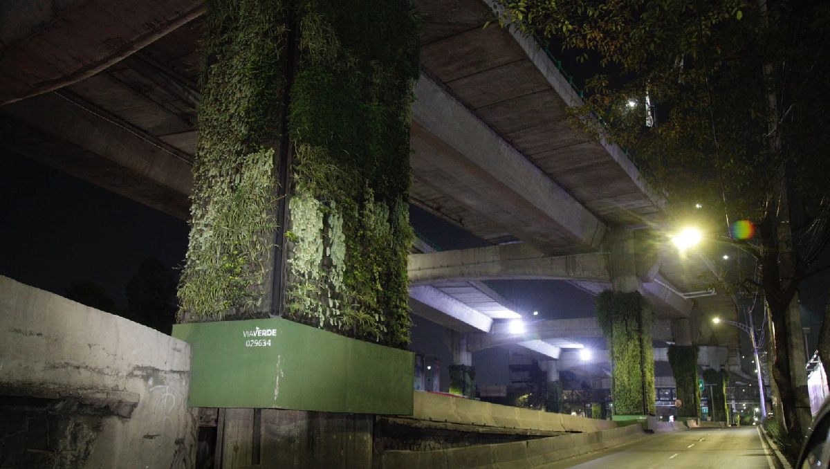 La mitad de las columnas estàn cubiertas por plantas del programa Vía Verde. | Enrique Luna