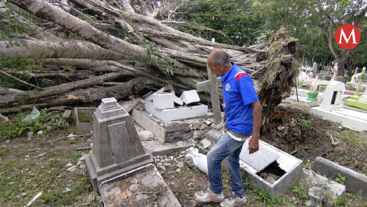 Hombre se salva de ser aplastado por árbol que cayó en cementerio de Tampico. (Julio Martínez)