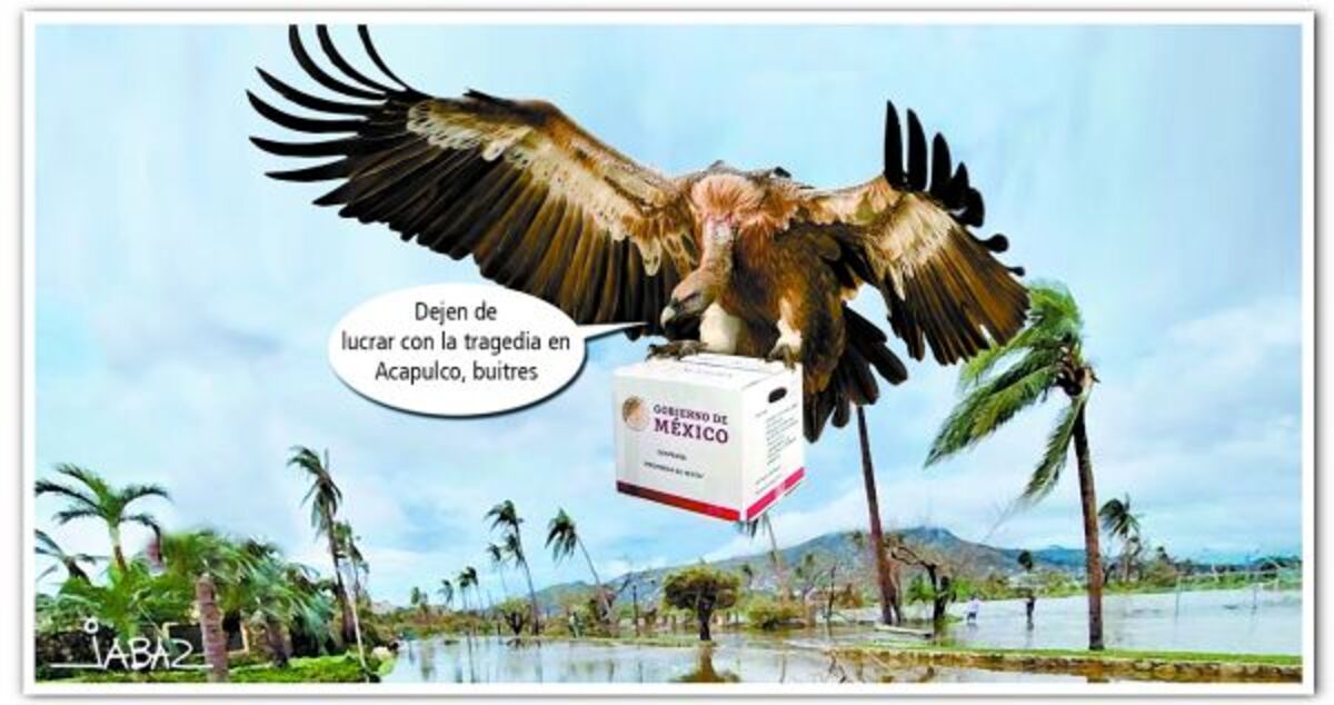 ¿Quiénes son los verdaderos buitres?