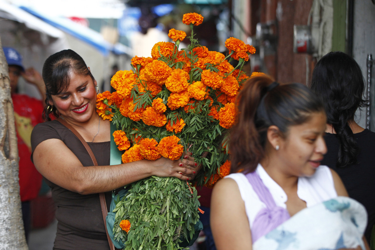 Flor de Cempasúchil aumentaría hasta 30% en próximos días en Guadalajara (Fernando Carranza)