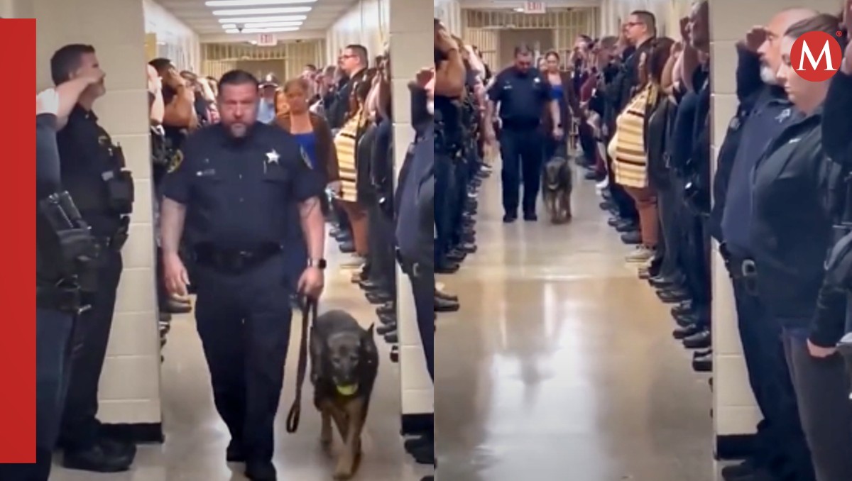 Perrito policía recibe honores tras años de servicio. | ESPECIAL