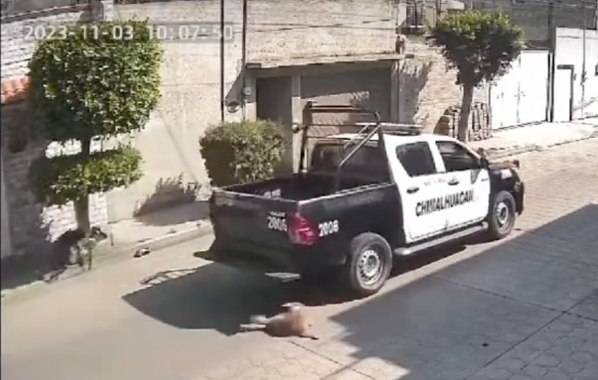 Unidad 2006 de la policía de Chimalhuacán (X/@dragon02red)
