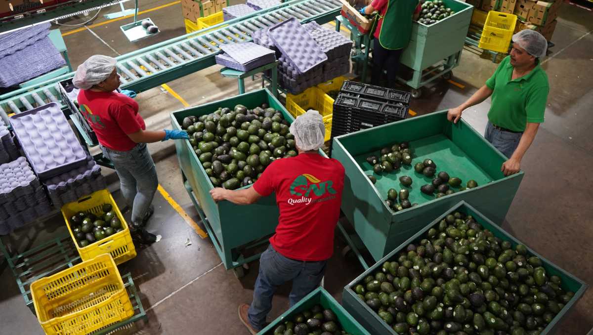 Hubo crecimiento mensual de 173 mil 257 puestos, incremento de 0.8 por ciento, el más alto de toda la historia. | Cuartoscuro