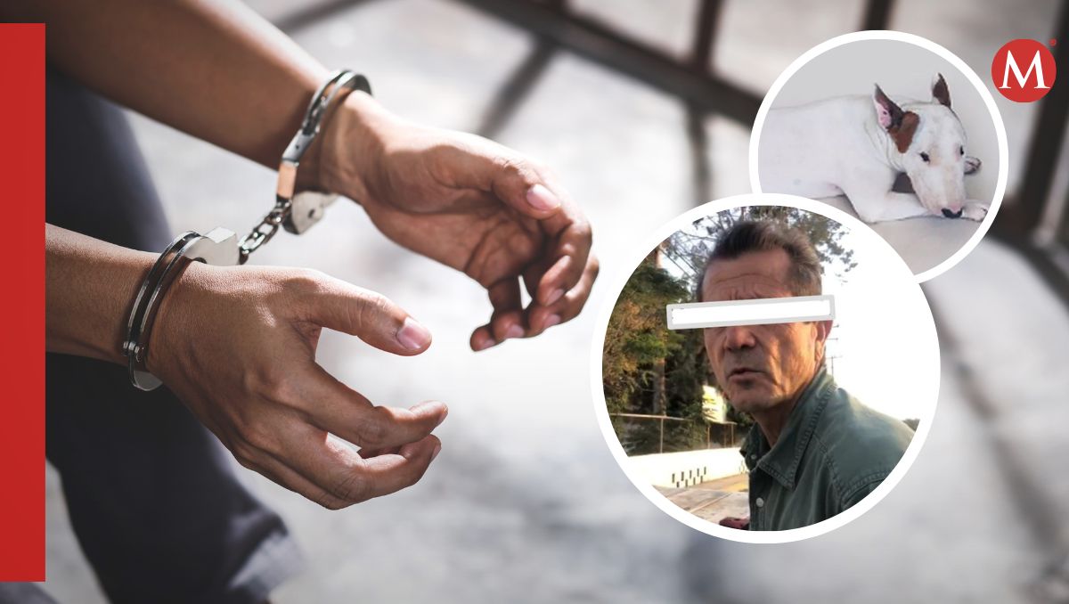 Policía Ambiental de Saltillo acudió al bulevar Eulalio Gutiérrez y detuvieron al conductor de un camión de carga.