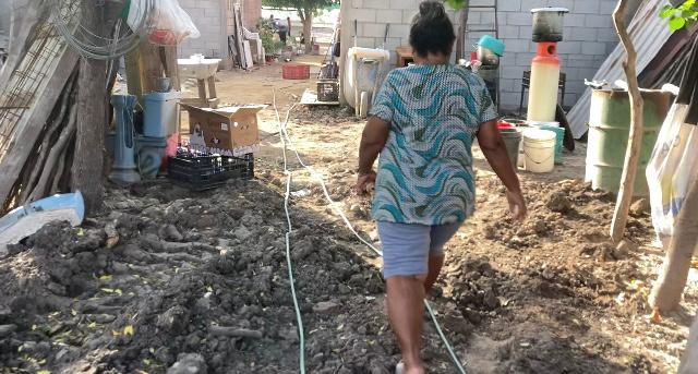 Damnificados de la depresión tropical agradecieron cualquier tipo de ayuda | Manuel Aceves