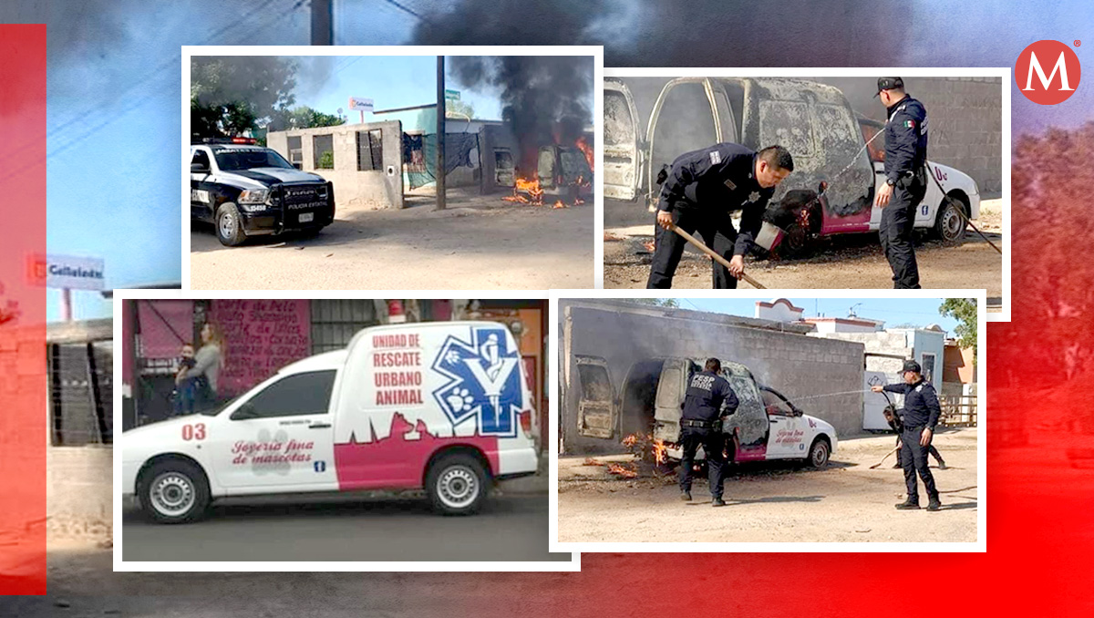Calcinan unidad usada como patrulla de rescate animal donada por la empresa 'Joyería Fina de Mascotas' en Hermosillo. | Especial