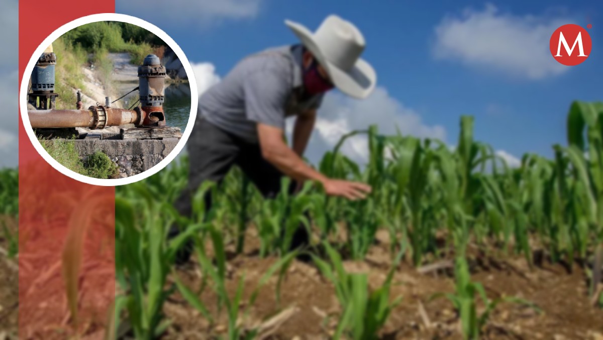 Congreso de Tamaulipas exhorta a indemnizar a productores agrícolas