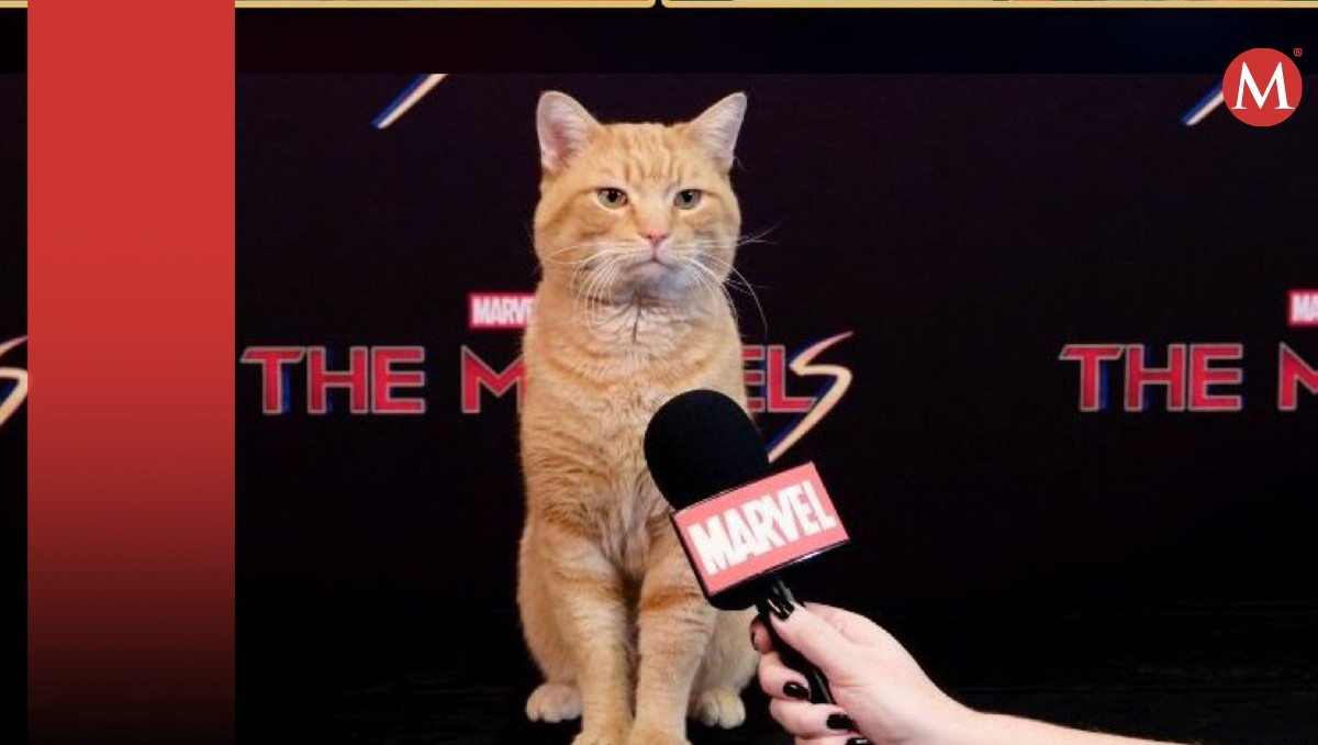 Goose en entrevista
