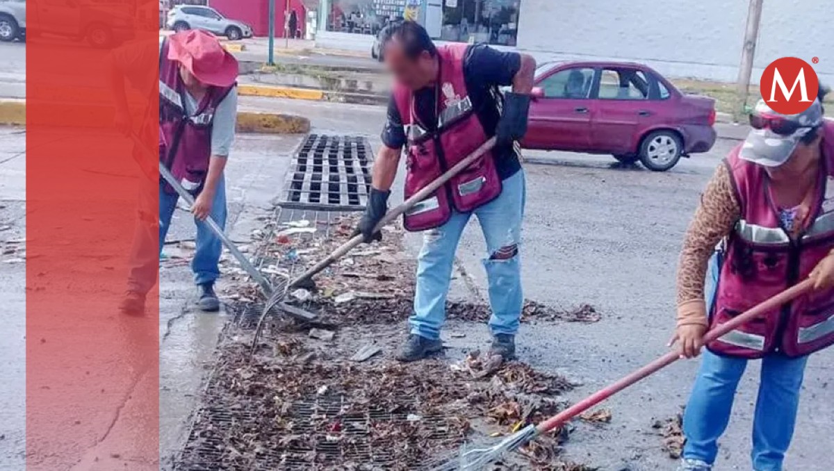 Con trabajo temporal buscan erradicar desempleo en sur de Tamaulipas