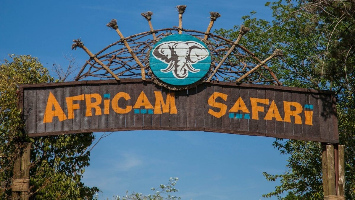 Africam Safari | Andrés Lobato