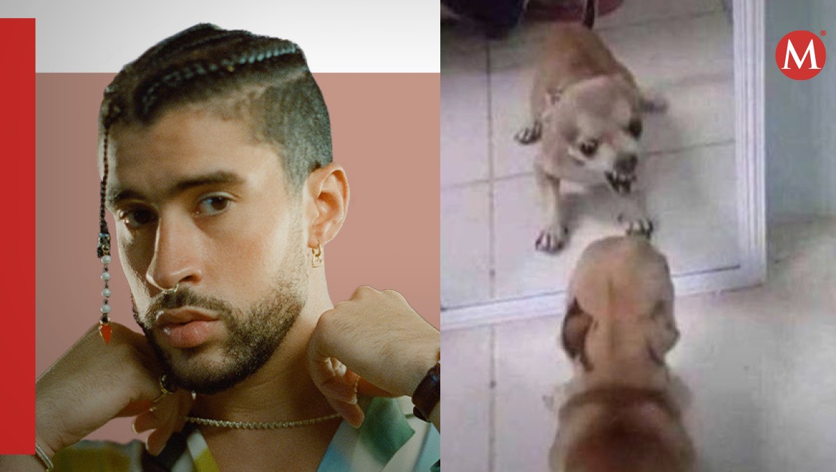El enojo del cantante provocó muchos contenidos | Facebook/X