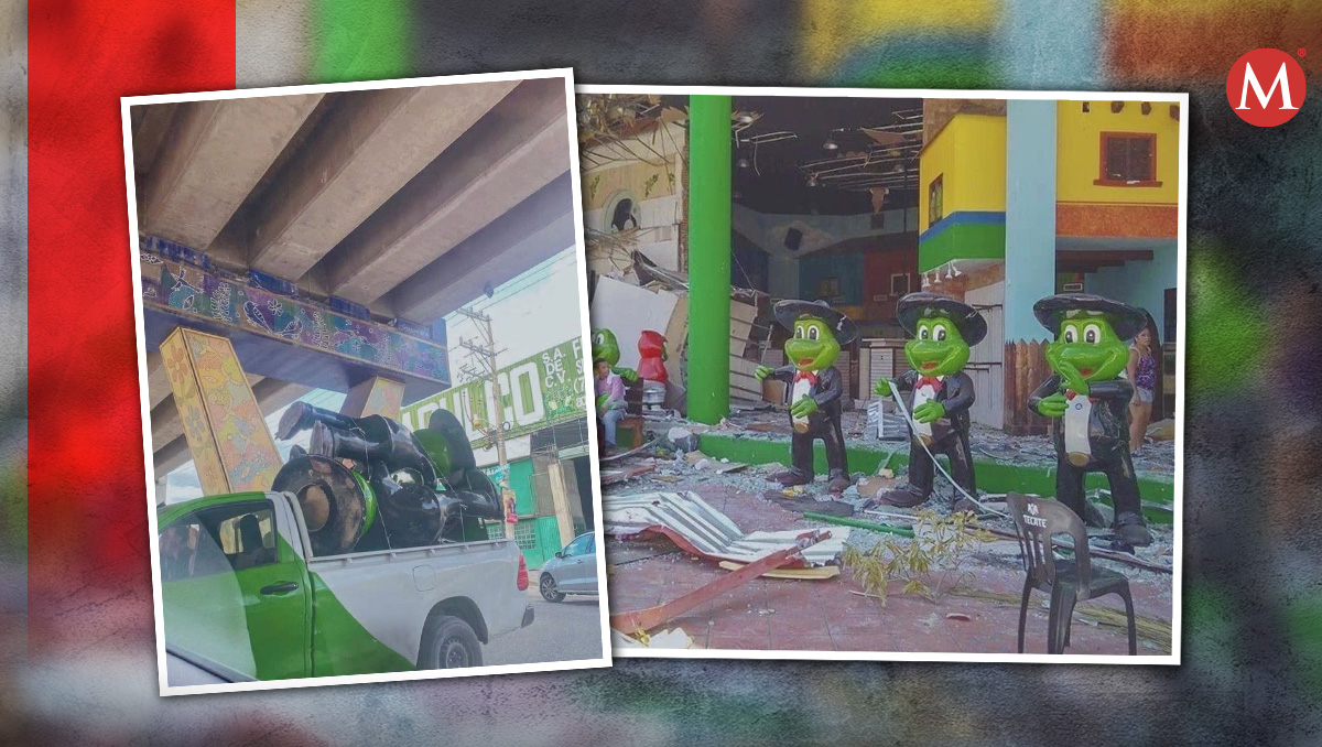 Las ranitas mariachi del Señor Frog's fueron vistas en una camioneta blanca tras el paso de 'Otis' en Acapulco. | TikTok