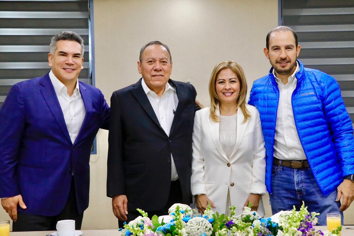 La senadora Lucía Meza recibió el respaldo de los partidos que integran el Frente por México. |Twitter