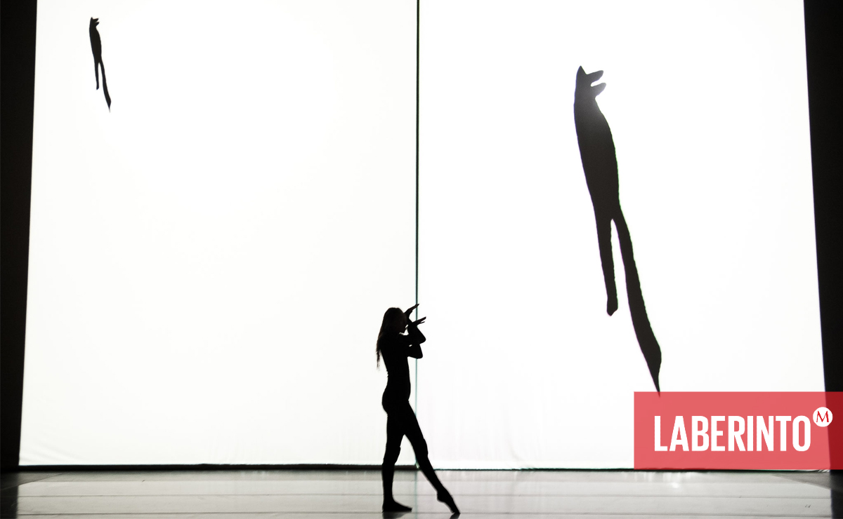 Escena de 'Henri Michaux: Mouvements', ballet en un acto. (Foto: Sylvie Ann Paré | mariechouinard.com)