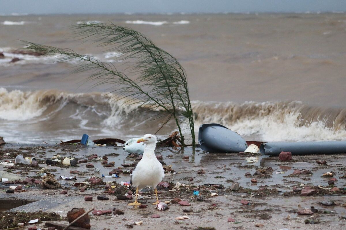 El paso del huracán Norma en BCS dejó contaminación por desechos que desembocaron en el mar. | Archivo Cuartoscuro