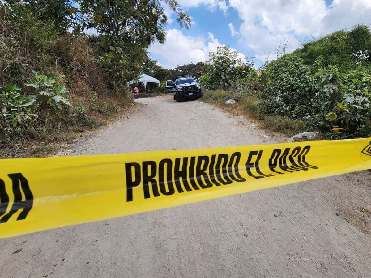 Recuperan dos torsos de fosas clandestinas localizadas en Zapopan (Juan Carlos Munguía)