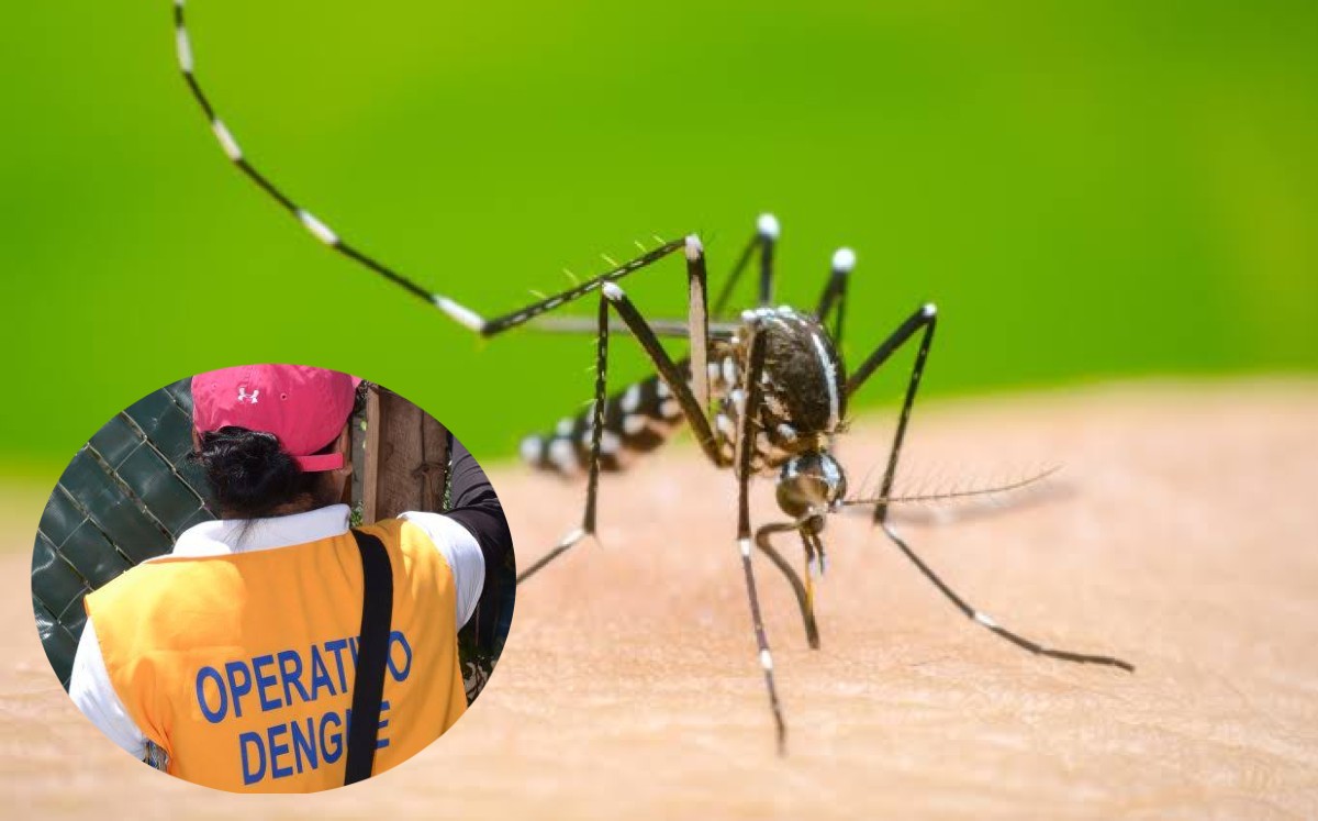 Dengue en Guanajuato