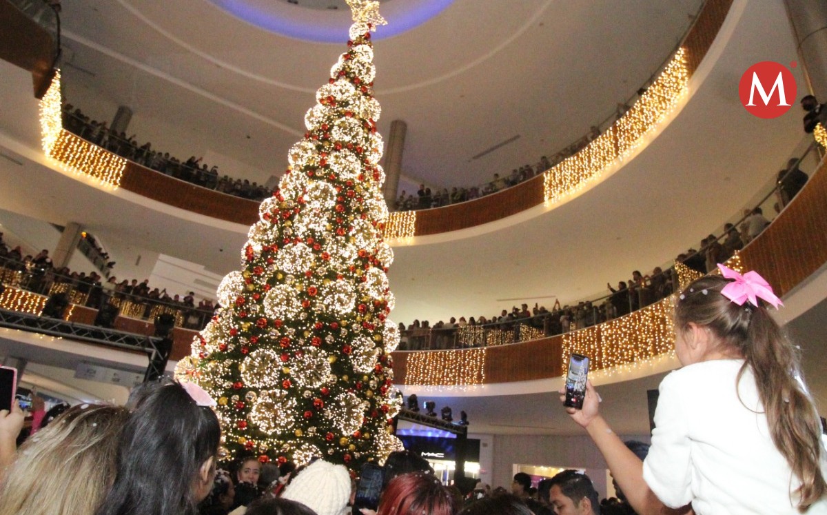 Ecnendien pino navideño en Altama City Center