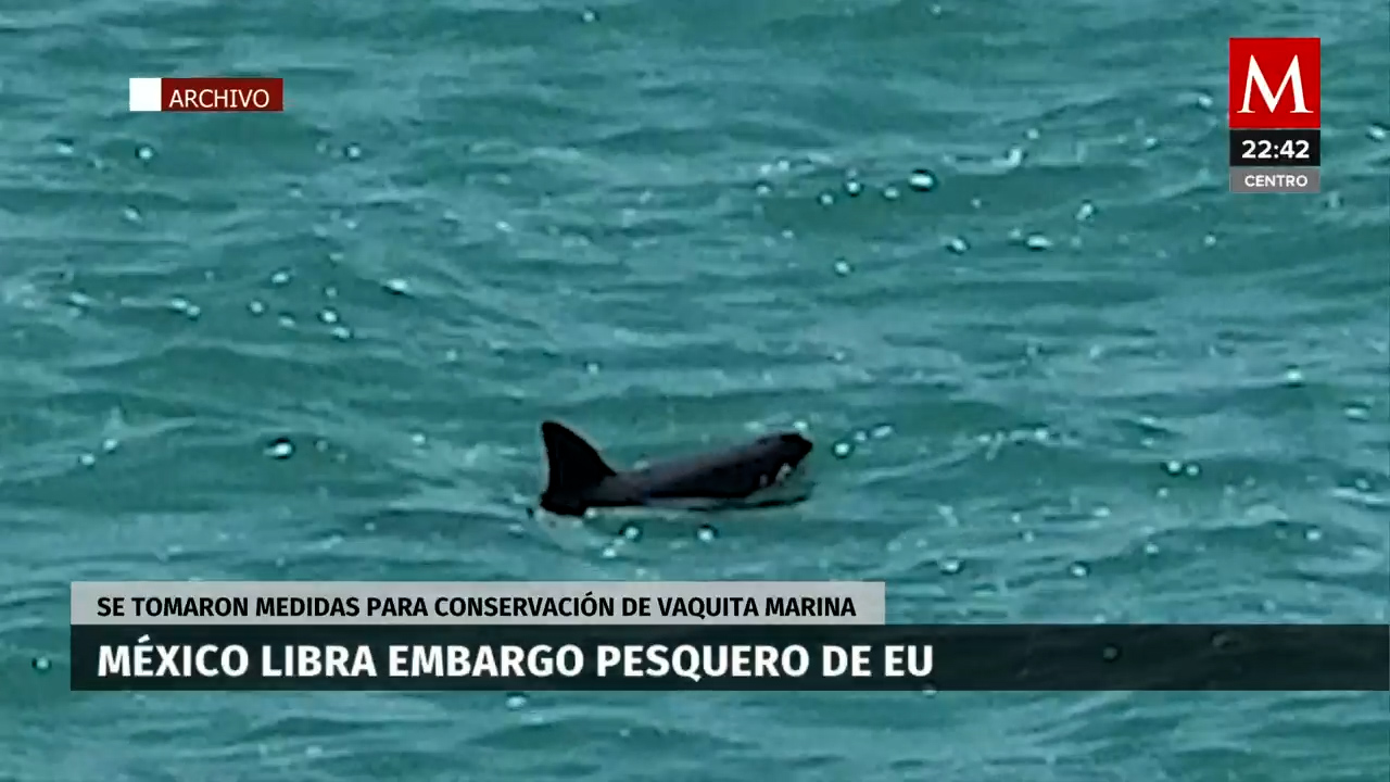 México libra embargo pesquero de EU, gracias a sus cuidados por la vaquita marina