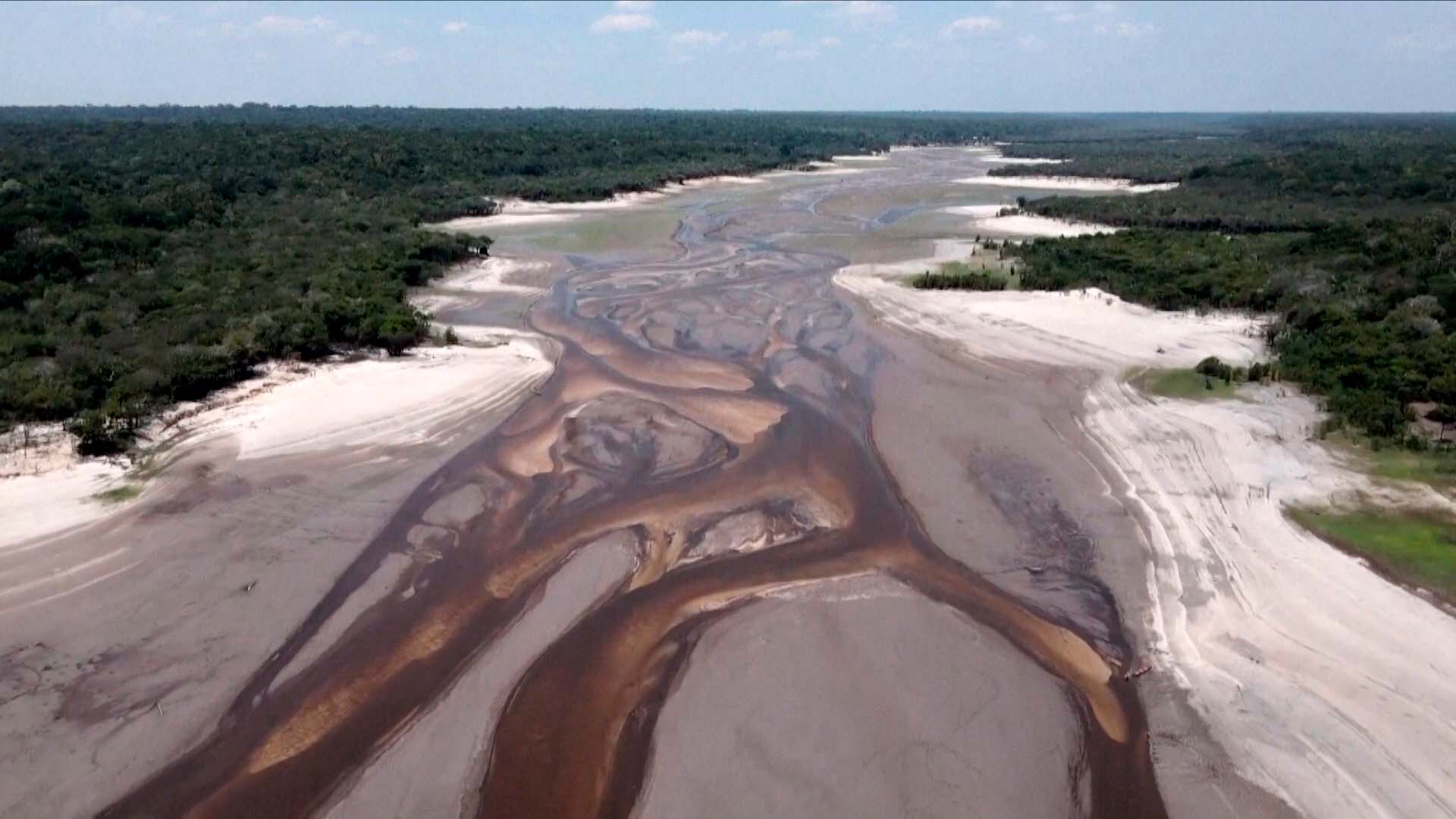 Los desastres naturales y el cambio climático | Especiales Milenio
