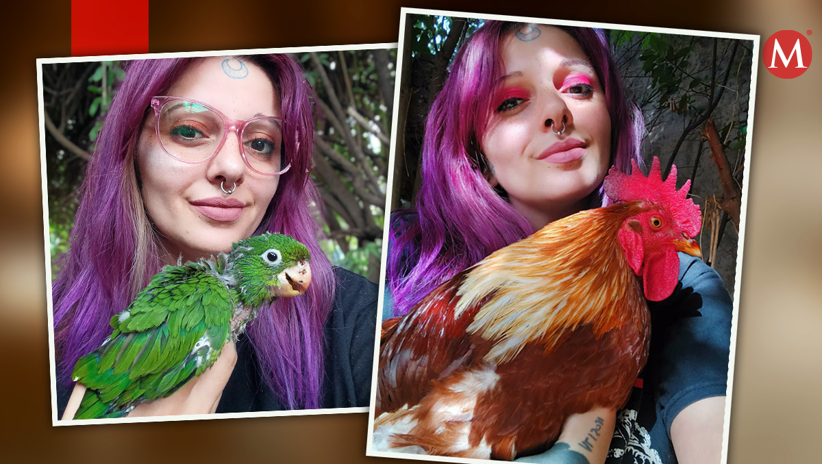 Daniela Festorazzi  se dedica a darle refugio, cuidado y amor a las aves | X: @rescatandoANH