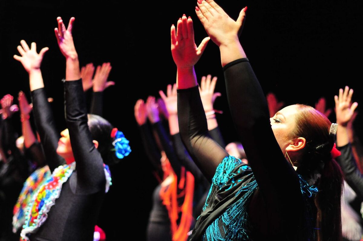 Flamenco. | Especial