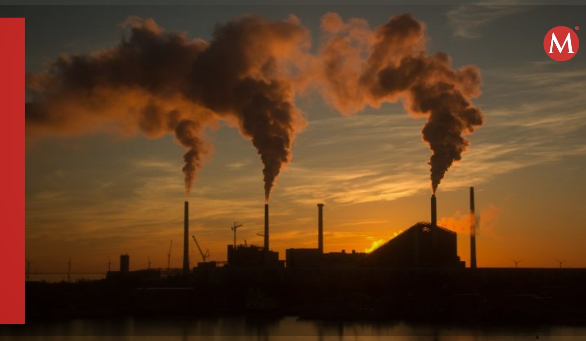 transforman el dióxido de carbono en productos aprovechables