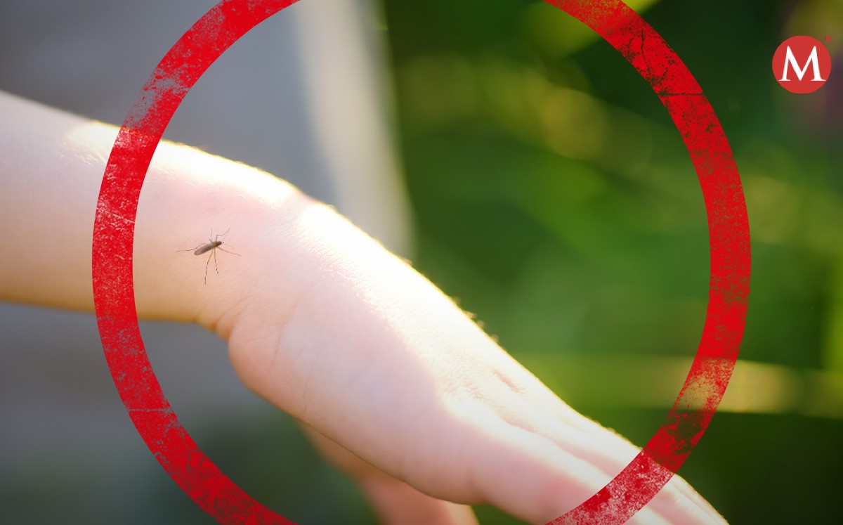 Investigan muerte de menor por sospecha de dengue | ESPECIAL