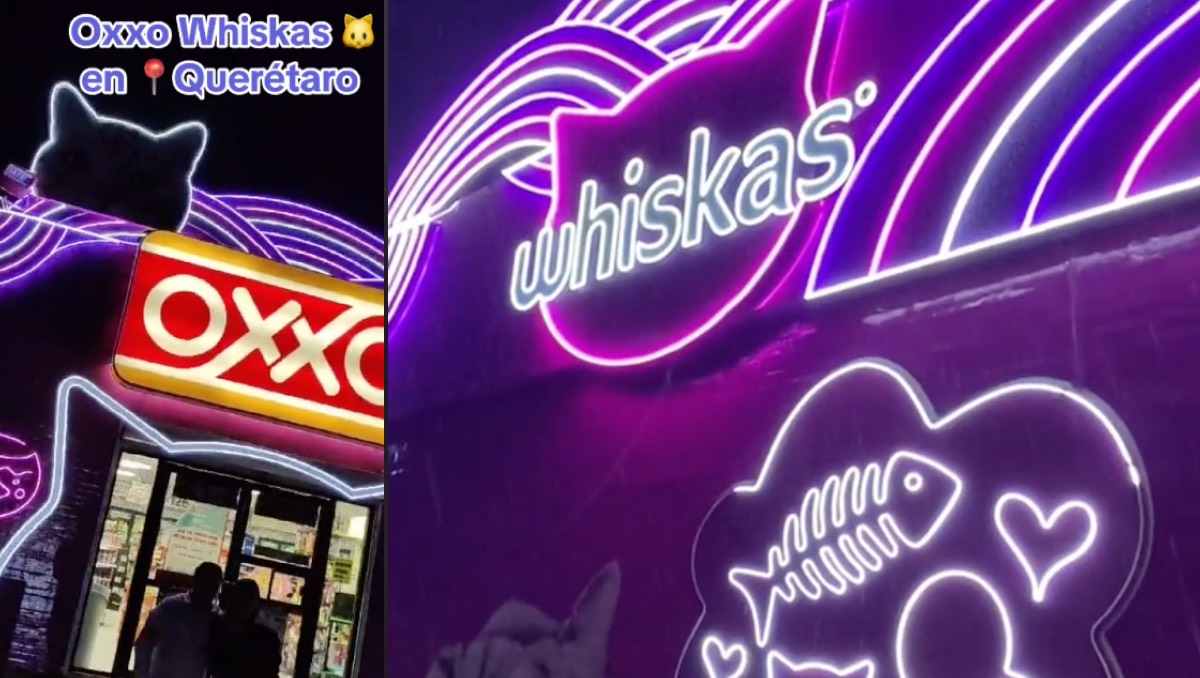Michi Oxxo de Querétaro| Especial