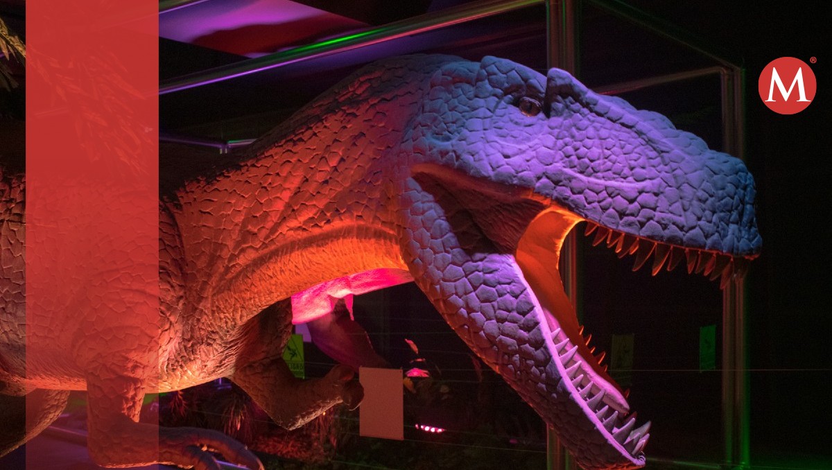 Era de dinosaurios llega al sur de Tamaulipas