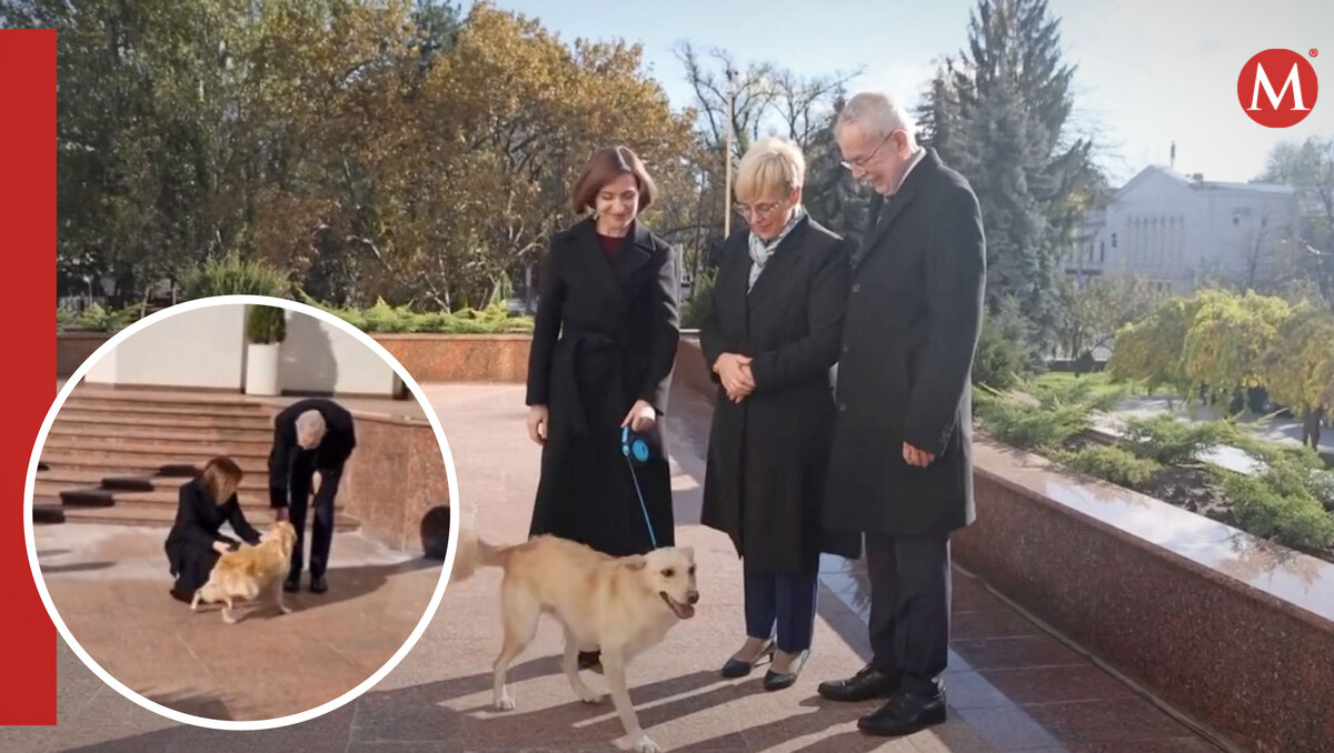 Alexander van der Bellen fue mordido en la mano por el perro de Maia Sandu | AP