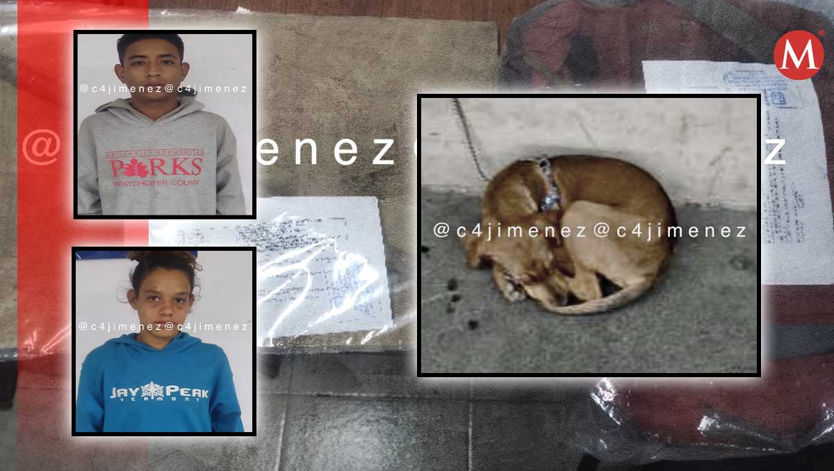 El 'lomito' fue resguardado por la Brigada de Vigilancia Animal. | Especial