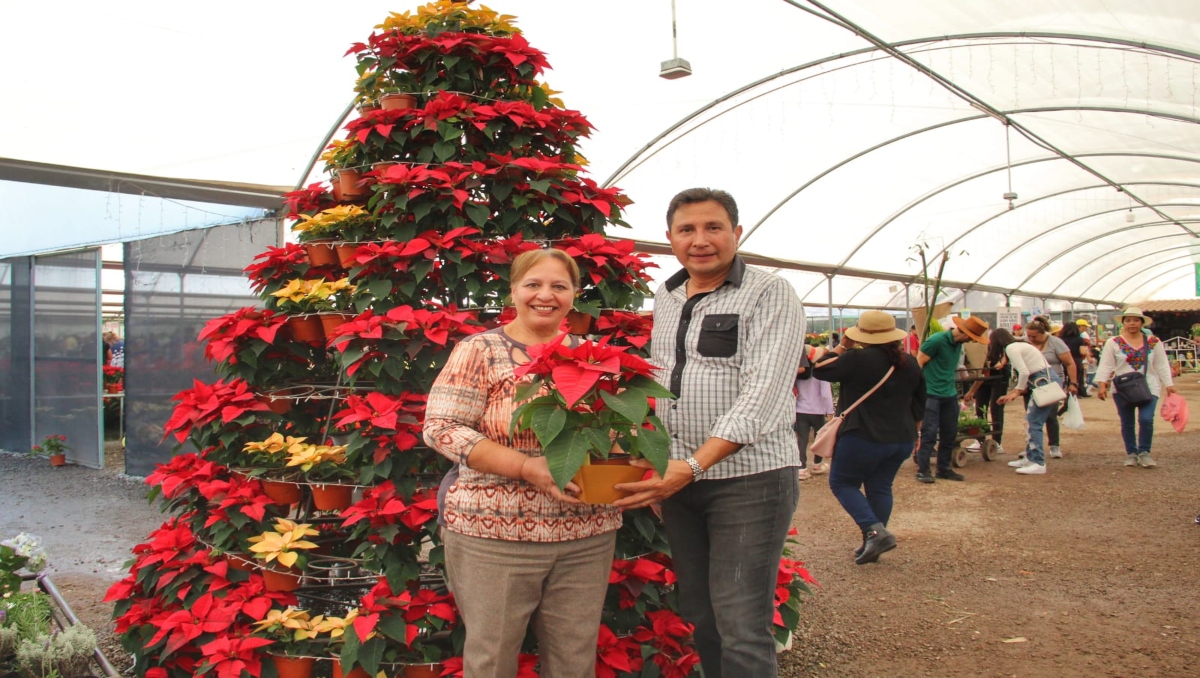 Arranca la venta de flor de nochebuena en viveros de Atlixco, Puebla | Melanie Torres
