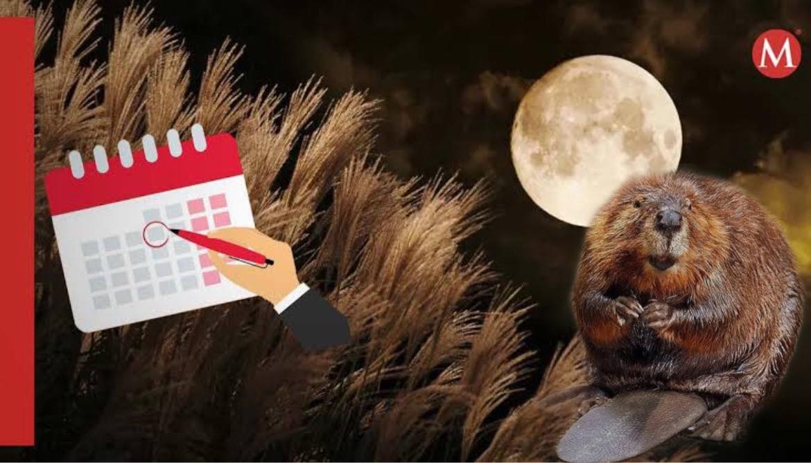 Luna de castor 2023.
