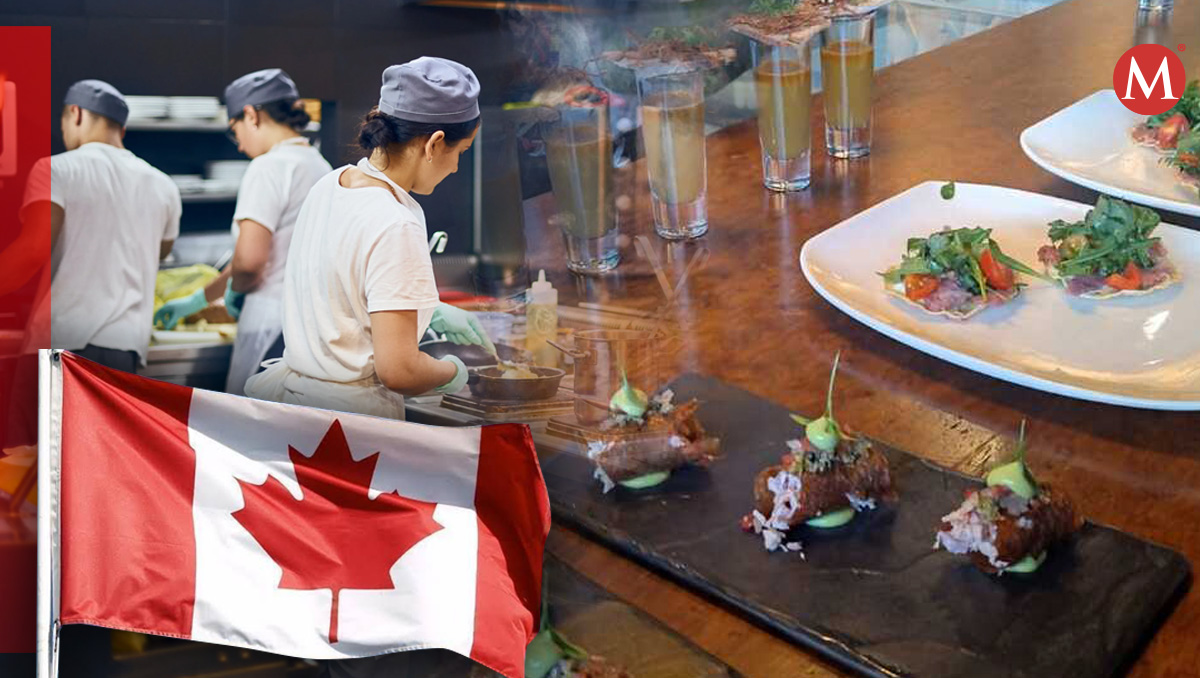 Mexicanos varados en Canadá | Disñeo por Mauricio Ledesma