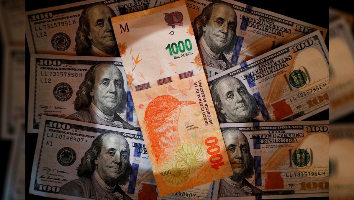 En lo que va de 2023 la moneda argentina se ha depreciado 63.58 por ciento frente al billete verde. Foto: (Reuters)