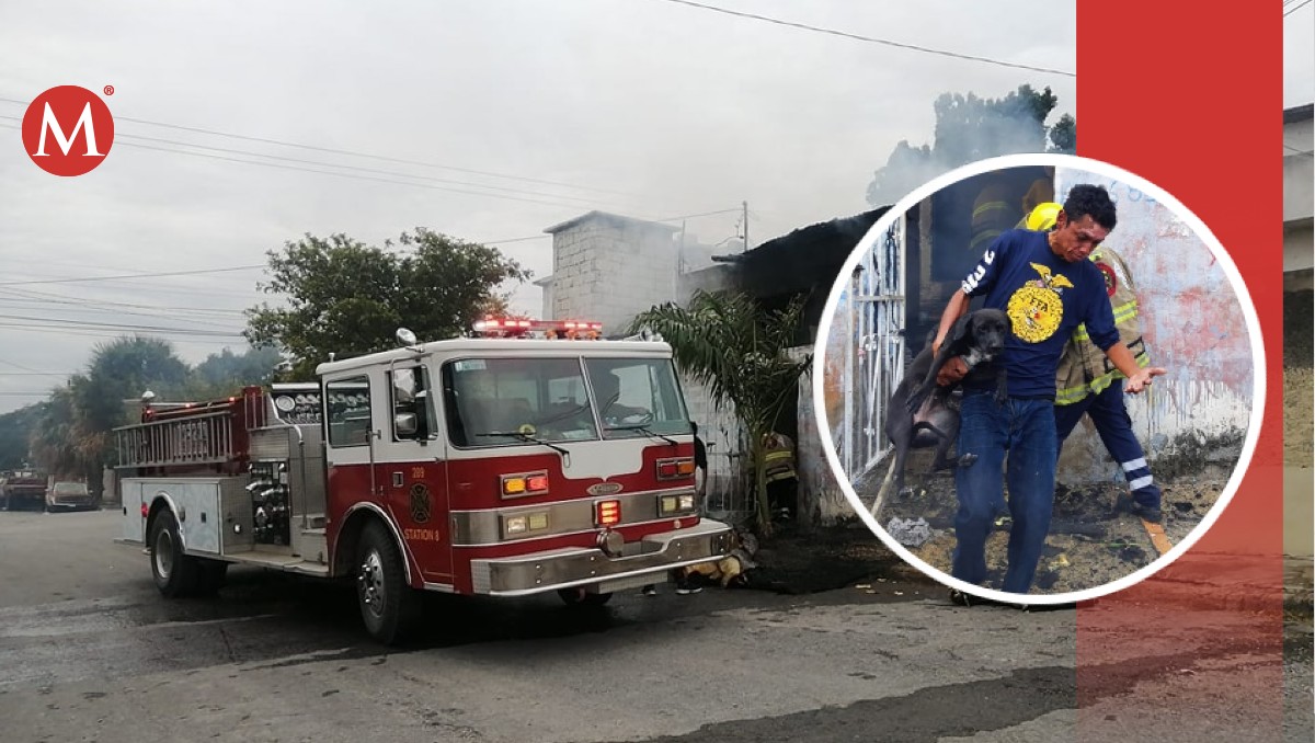 Se incendia casa; logran rescatar a dueño y su perrito.