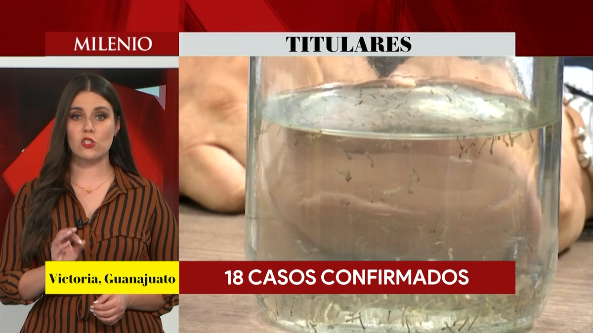 Suman 55 bolsas con restos humanos en fosas clandestinas de Jalisco. Magda González, 21 de noviembre de 2023