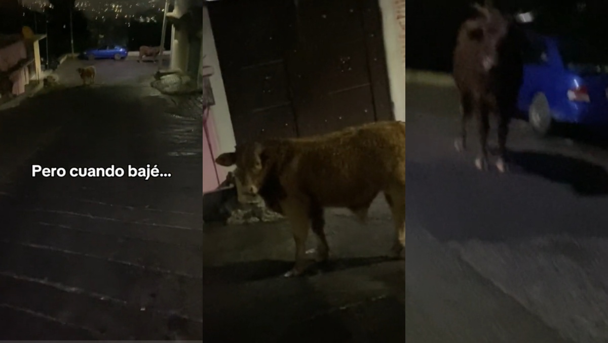 Toro cubre paso a Uber (Especial).