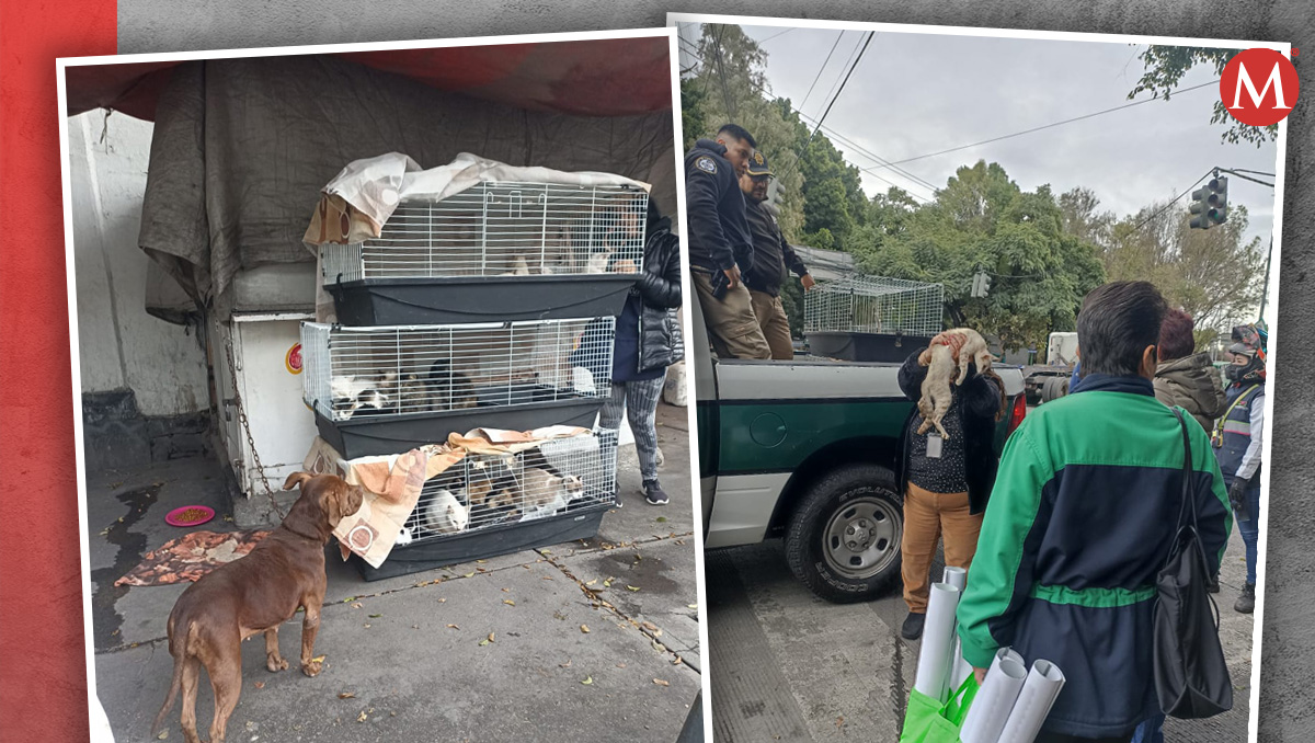 La FGJ de la Ciudad de México ya abrió una carpeta de investigación y contra quien resulte responsable. | Especial.