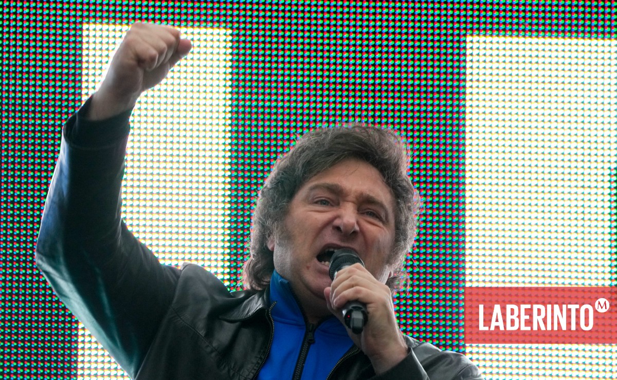 Javier Milei, presidente electo de Argentina. (Natacha Pisarenko | AP)