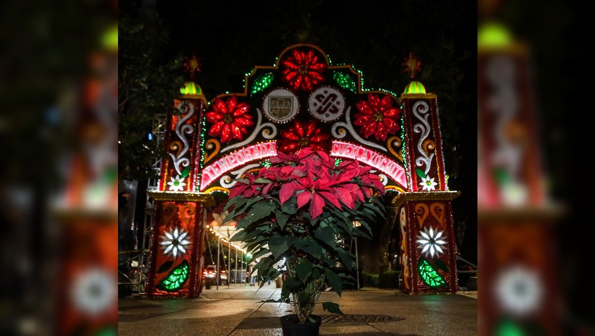 Anuncian Festival de Flores de Nochebuena en CdMx. Foto: CORENADR
