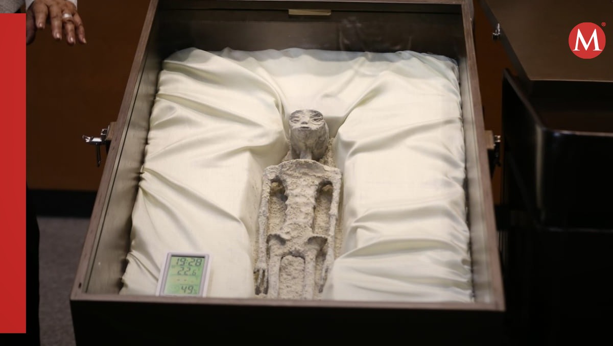 Otras señales que fragmentan la teoría de los 'cuerpos no humanos'