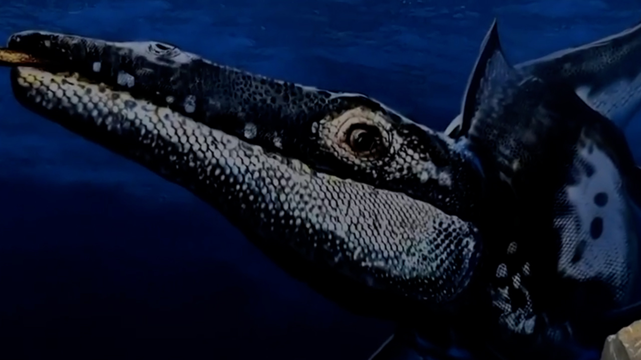 ¿Qué significa el hallazgo de la nueva especie de Mosasaurio en Nuevo León?